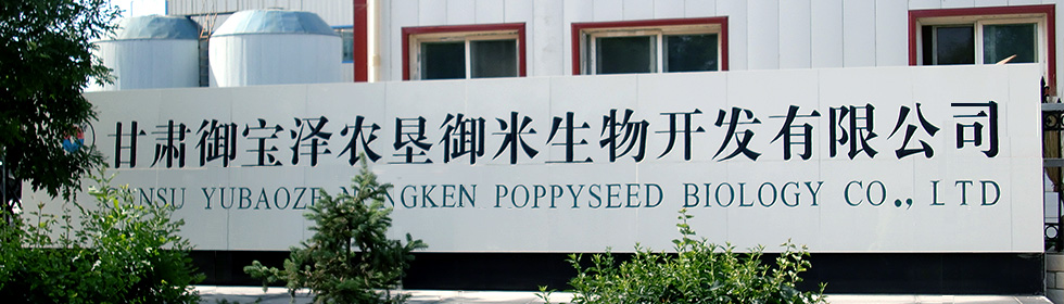 測(cè)試用圖片